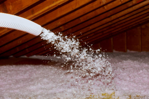 Best Commercial Insulation in College, AK