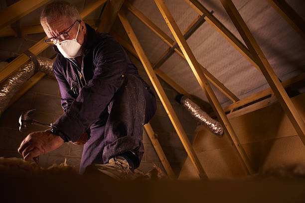 Best Residential Insulation in College, AK