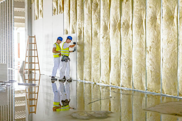Best Cellulose Insulation in College, AK